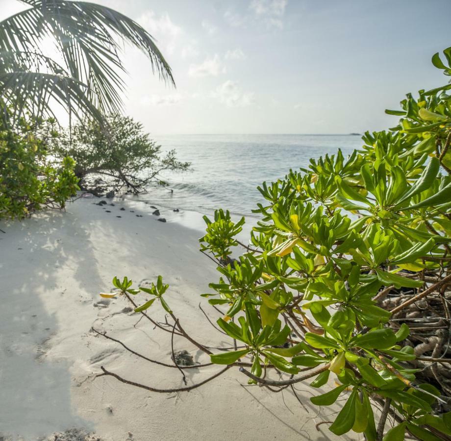 Portia Hotel & Spa Dhiffushi Bagian luar foto